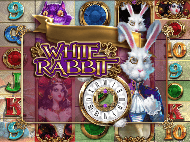 White Rabbit